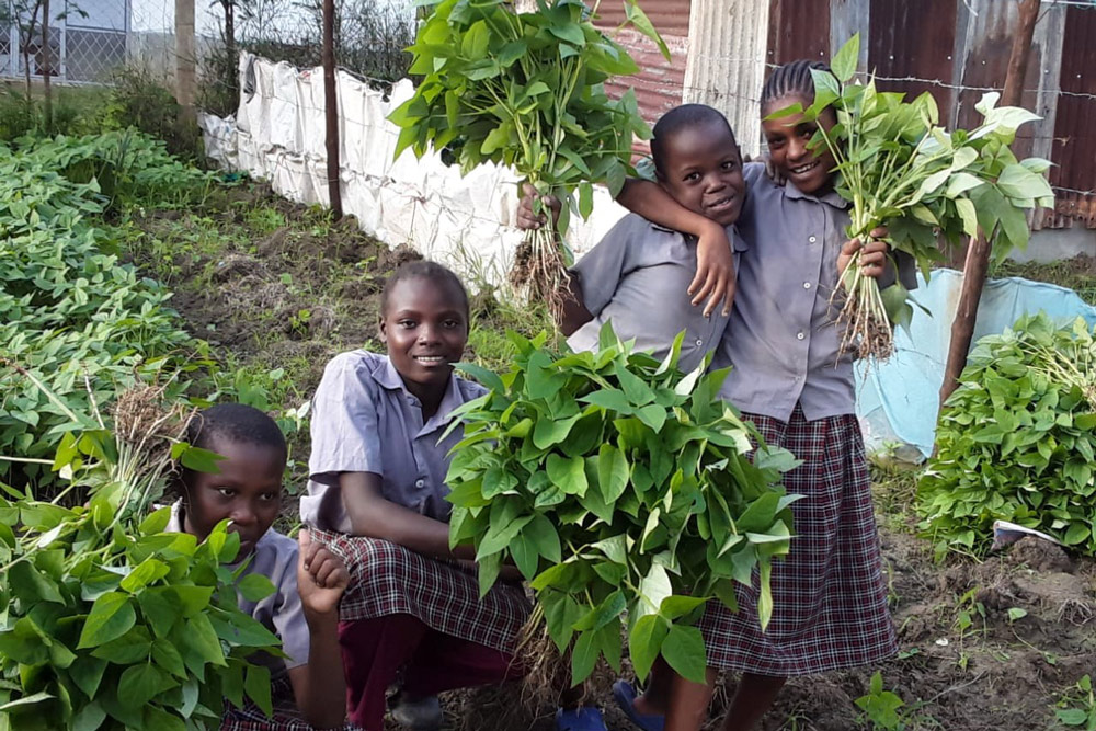 Living School Project